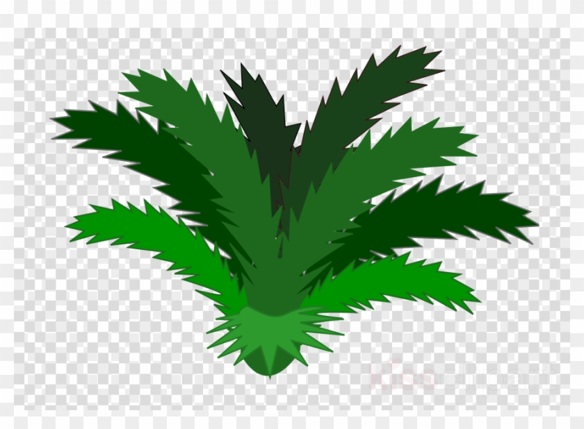 Jungle Plants Clipart Tropical Rainforest Clip Art - Iron Man Meme Png Transparent Png