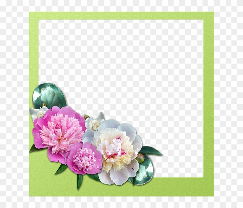 Frame, Peony, Roses, Gems - Pitcher Good Morning Clipart