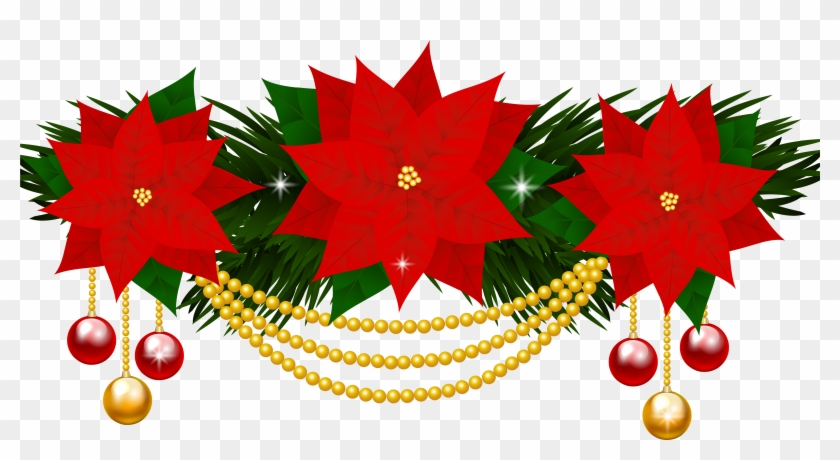 Transparent Background Poinsettia Clipart - Png Download