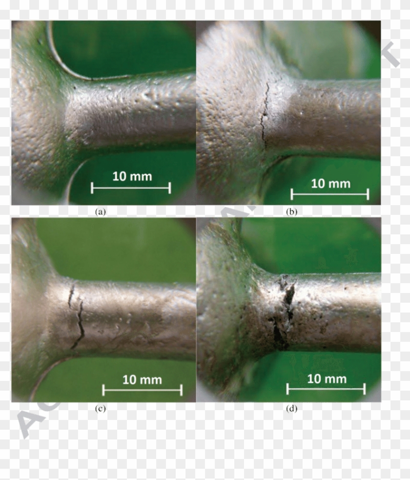 Hot Tear With Different Levels Of Severity - Tree Clipart #1062390
