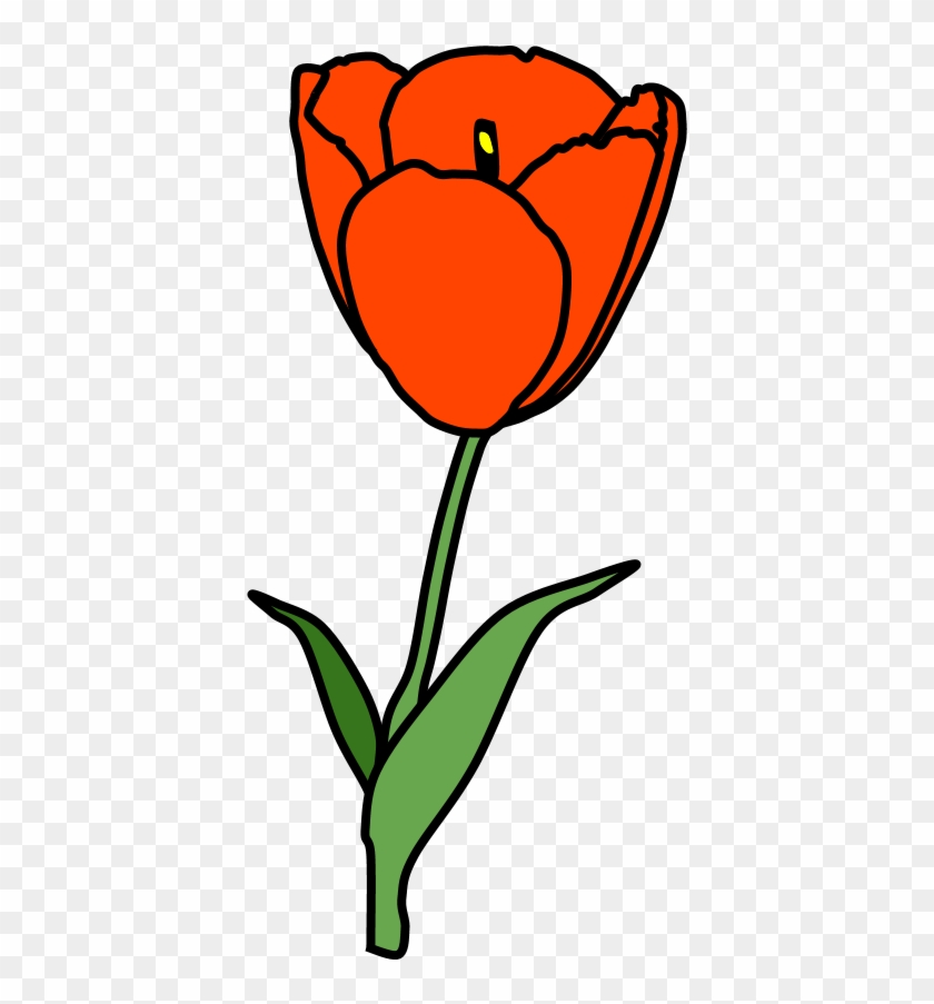 Tulip, Petals, Stamen, Red, Png - Sprenger's Tulip Clipart #1062860
