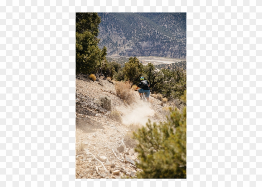 Lights - Painting Clipart