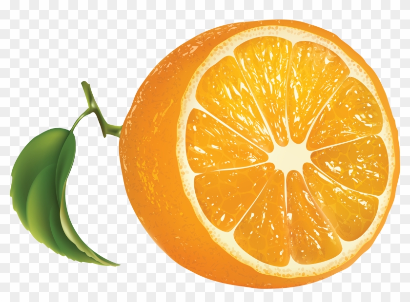 Orange - Oranges - Orange Vector Transparent Background Clipart