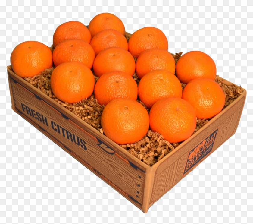 Florida Citrus Temple Oranges Png Temple Oranges - Tangerine Clipart #1064484