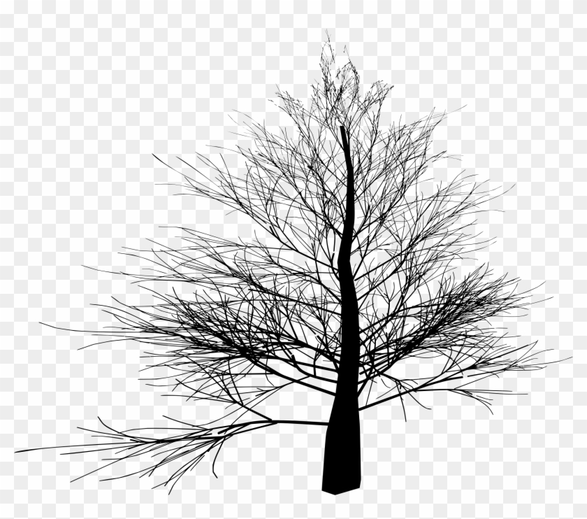 Big Image - Winter Tree Png Transparent Clipart
