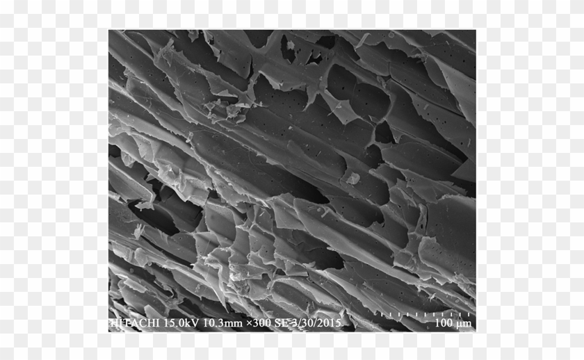 Sem Images Nkcf And (b) Qkcf - Monochrome Clipart