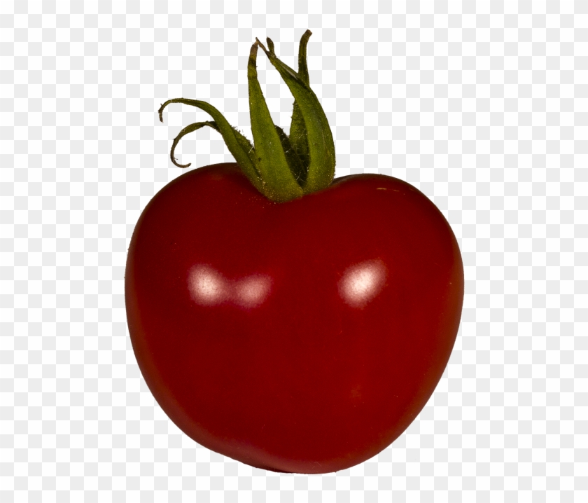 Tomato,grown,solanum - Plum Tomato Clipart #1066139