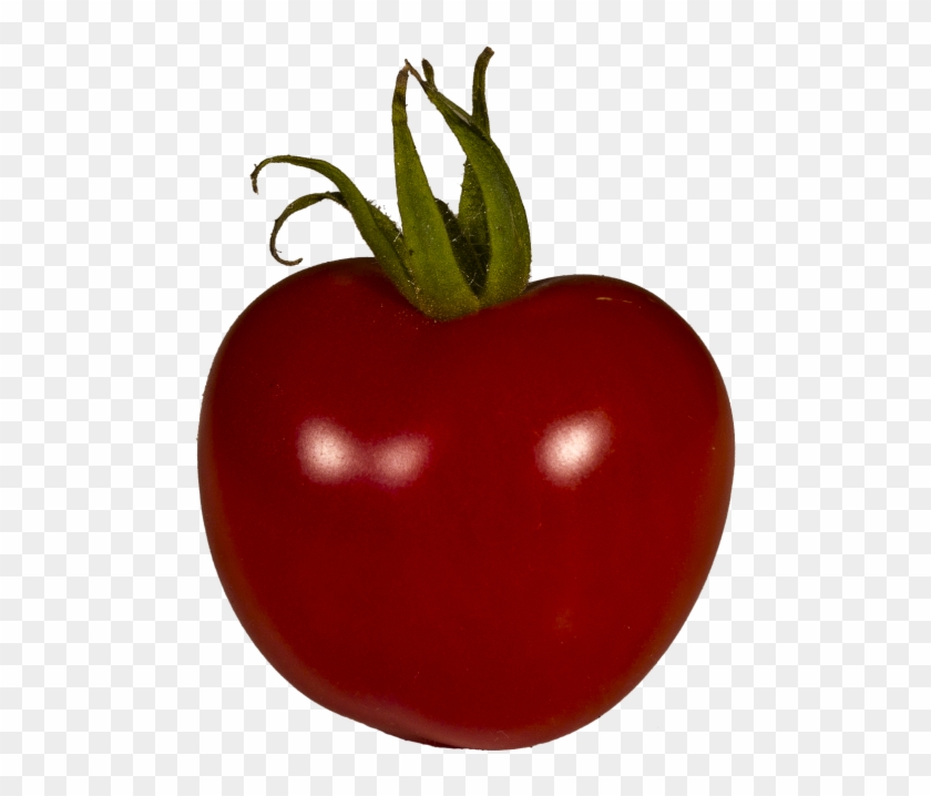 Tomato,grown,solanum - Plum Tomato Clipart