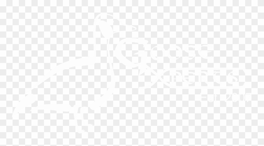 Duck Clipart #1067990