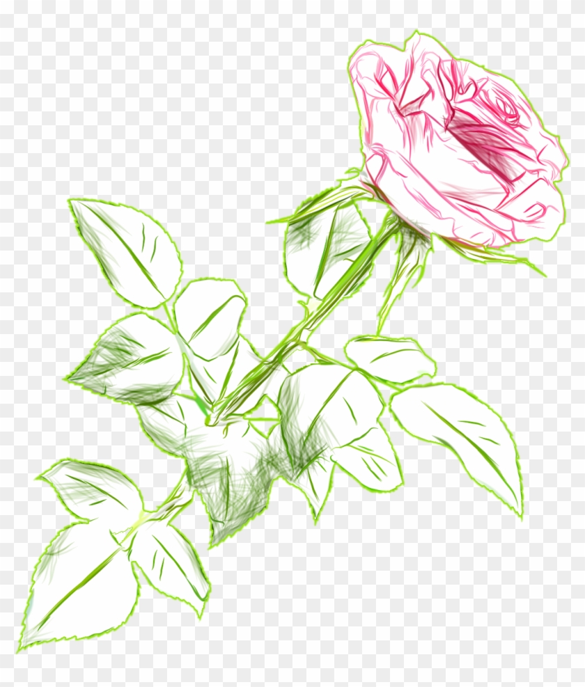 Download Color Png Picture - Rose Drawing Color Transparent Clipart #1068468