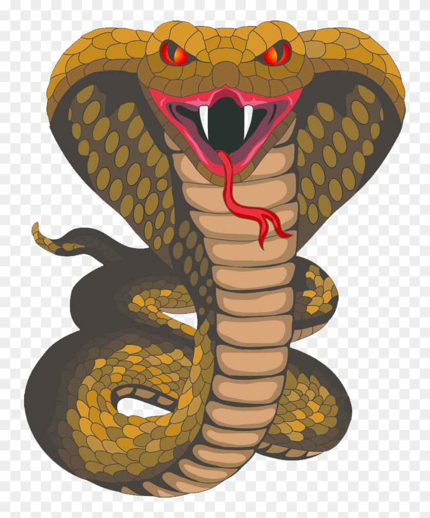 King Cobra Png Picture - King Cobra Png Clipart #1070653