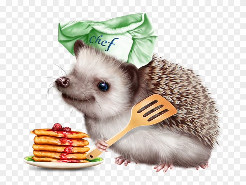 6314590 Hedgehog And Pancakes12 Hedgehog, Tube, Clip - Hedgehog - Png Download #1072257