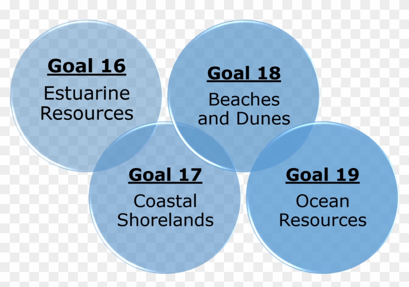 "all Actions By Local, State, And Federal Agencies - Camera Clipart