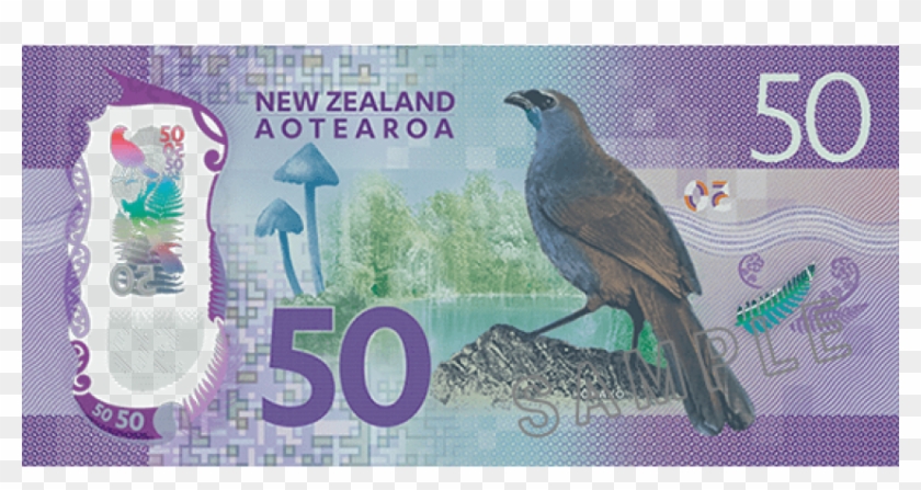 Free Png Download New Zealand Banknotes Ebay 50 Png - 50$ Nz Clipart #1072714