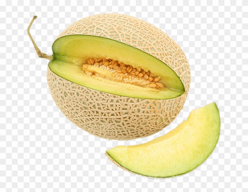 Download - H Is For Honeydew Melon Clipart