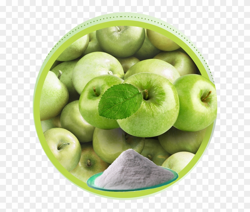 Apple Extract - Apple Fruits Clipart #1073856