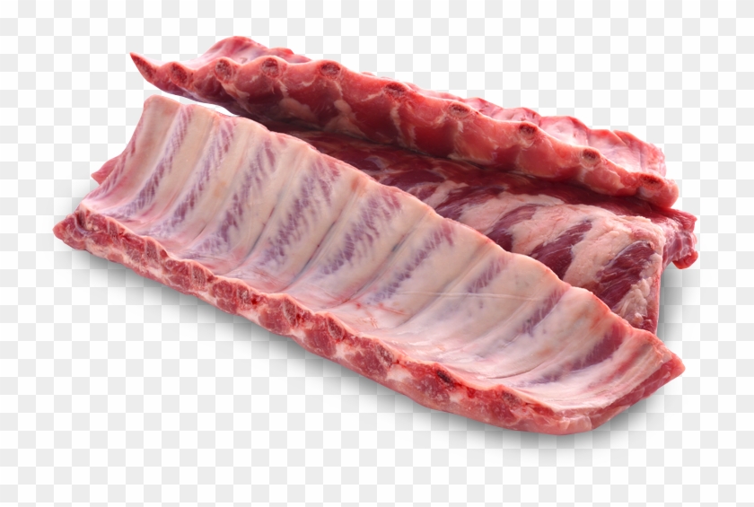 Pork Ribs Clipart