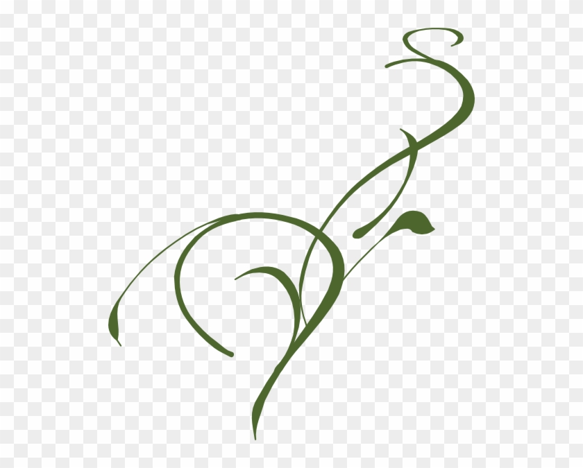Small - Vine Clip Art - Png Download
