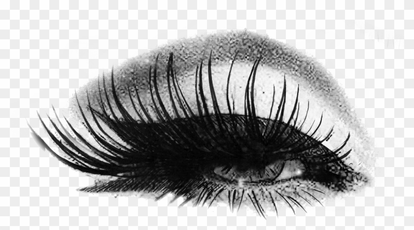 Jpg Freeuse Library Extension Logo Images Eye Makeup - Lash And Brow Logos Clipart