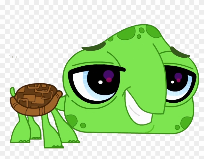 Turtle Vector Png Clipart #1075588