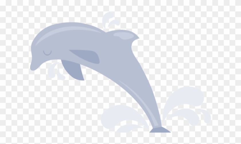 Common Bottlenose Dolphin Clipart