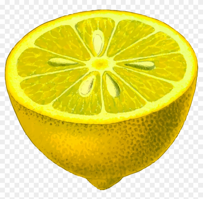 Png Shop Of Library - Half Lemon Clipart
