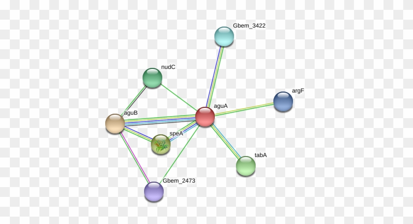 Circle Clipart #1077392