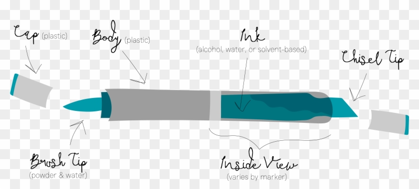 Anatomy Of An Art Marker - Anatomy Of A Marker Clipart