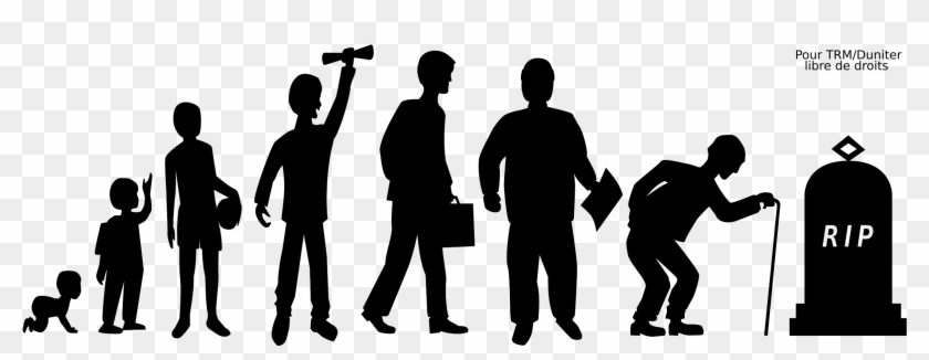 Https - //www - Goodfreephotos - Com/albums/vector - Birth To Death Png Clipart #1078763