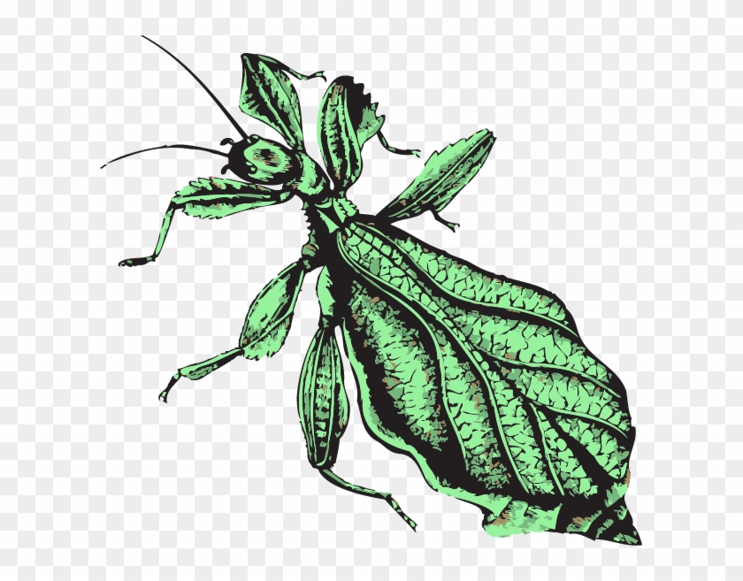 Publications - Illustration Clipart