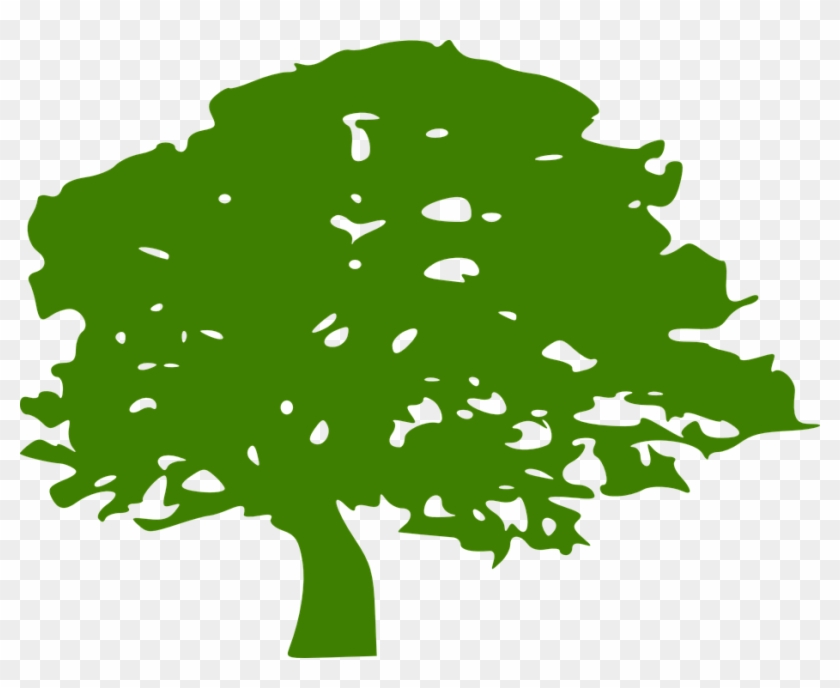 Graphic Tree Images - Green Tree Clip Art - Png Download #1079941