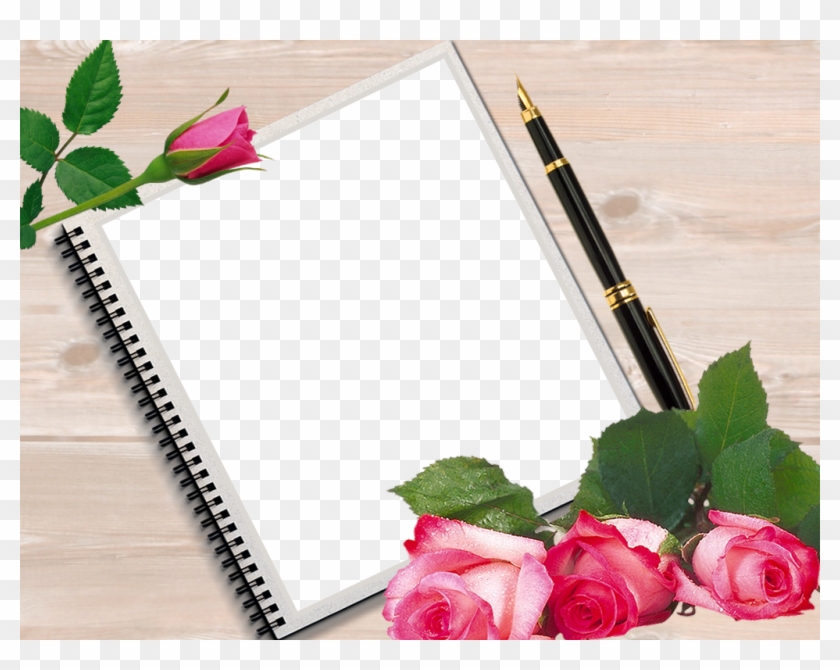 Bokeh Photography, Flower Clipart, Flower Frame, Stationary, - Garden Roses - Png Download #1079948