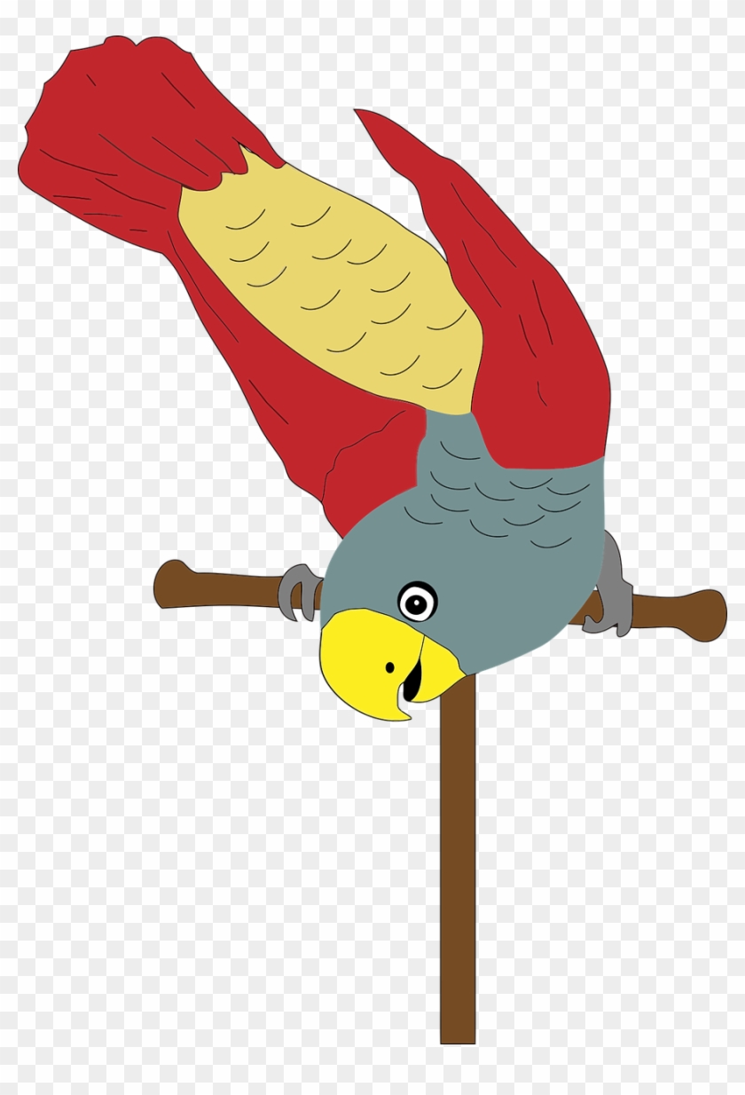 Animal Bird Colorful Flying Transparent Image - Perch Clipart - Png Download #1080452
