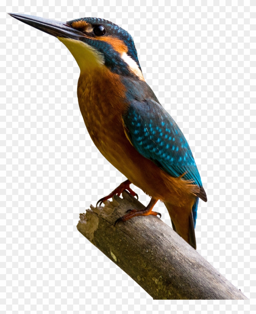 God Thank You For My Family Quotes Clipart