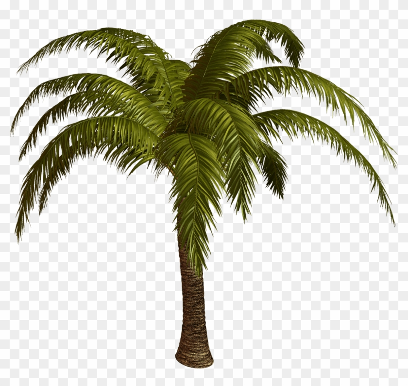 Jolly Roger Restaurant - Les Palmier En Png Clipart