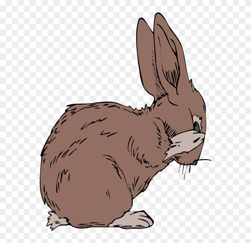 Jack Rabbit Clipart Black And White - Jackrabbit Clipart - Png Download #1081069