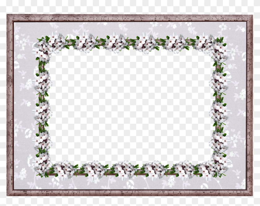 Frame, Border, Daphne, Floral - Picture Frame Clipart #1081690