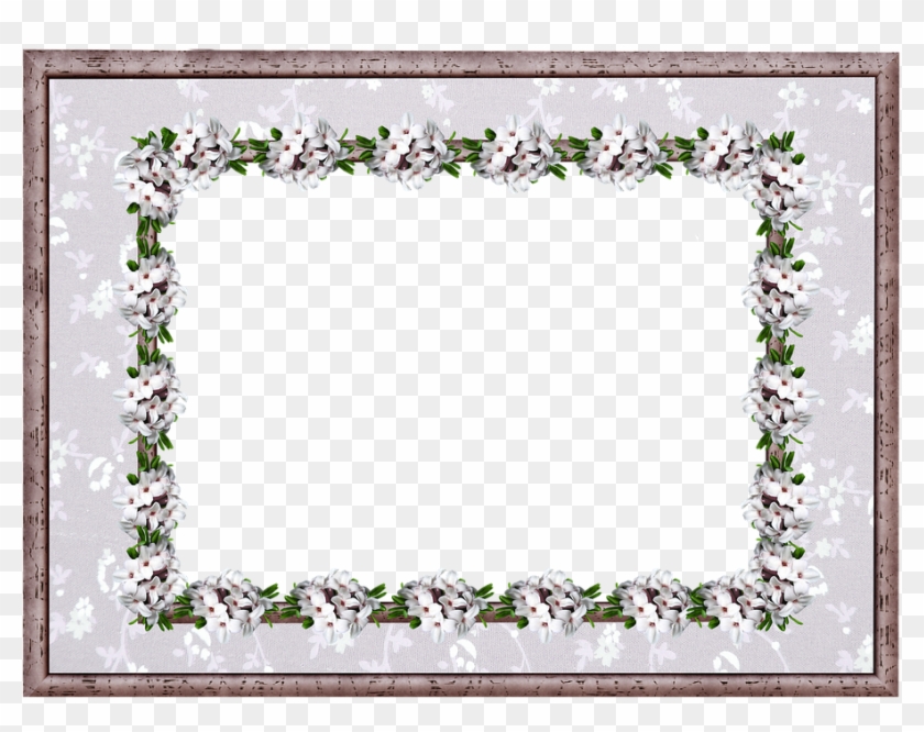 Frame, Border, Daphne, Floral - Picture Frame Clipart