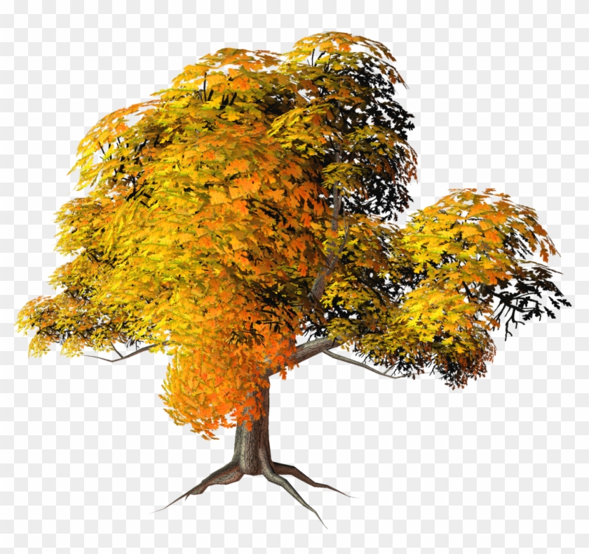 Source - - Fall Trees Transparent Background Clipart #1081986