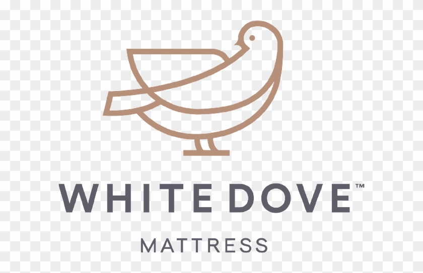 Recent Posts - Bird Clipart #1085812