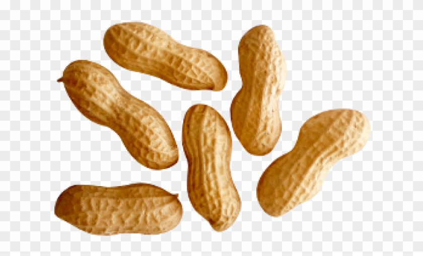 Peanut Png Transparent Images - Peanuts Png Clipart #1086696