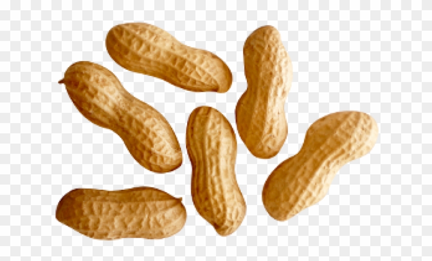 Peanut Png Transparent Images - Peanuts Png Clipart