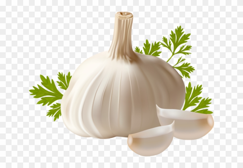 Garlic - Garlic Clipart Png Transparent Png #1087246