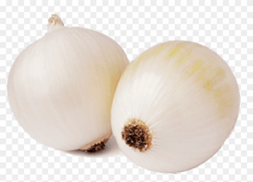 Free Png Download Elephant Garlic Png Images Background - Garlic Clipart