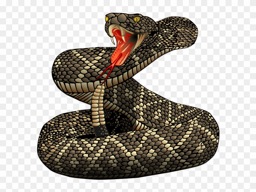 Rattlesnake Png File - Rattlesnake Png Clipart