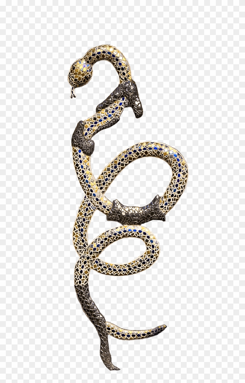 Snake Shedding Skin Transparent Png - Snakes Clipart