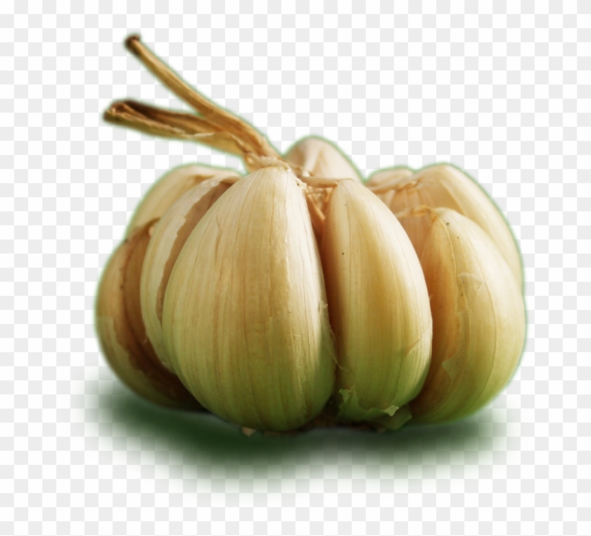 Ontos Garlic - Garlic Clipart #1087764