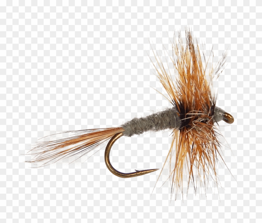 Adams - Fly Fishing Fly Clipart #1088197