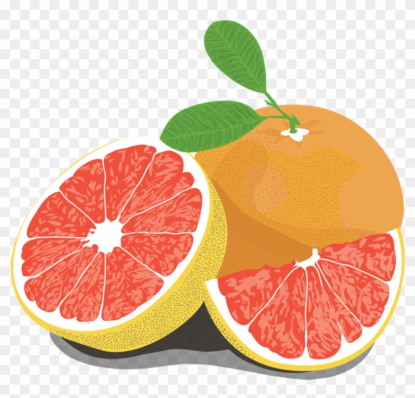Grapefruit - Pomelo Clipart