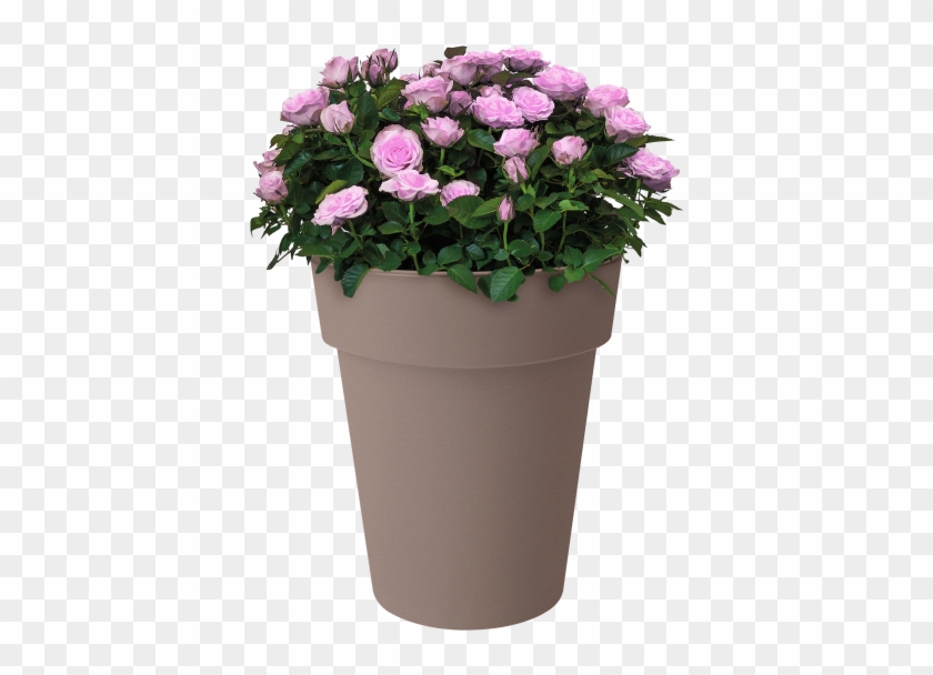 Home > Collection > Green Basics Top Planter High - Flowerpot Clipart #1088745